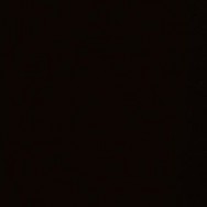 Gloss Black