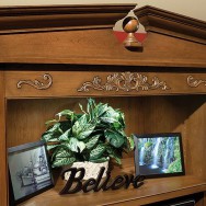 Crown Molding with Embossed Inlay